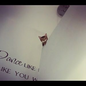 Meet your Posher, Nicole